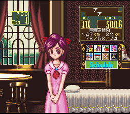 Princess Maker - Legend of Another World (Japan) In game screenshot
